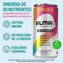 Alma.life® | Pack de 48 | VENTA DE BODEGA